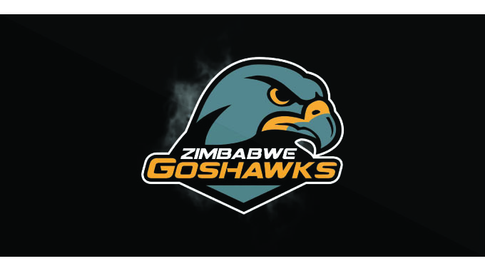 Goshawks conclude Currie Cup adventure