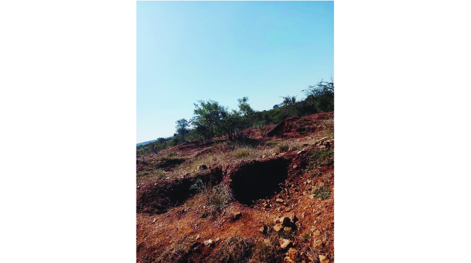 Zimbabwe loses 330 000ha of forest annually