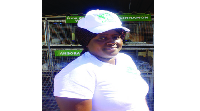 From 3 rabbits to commercial scale: Urban breeder makes inroads