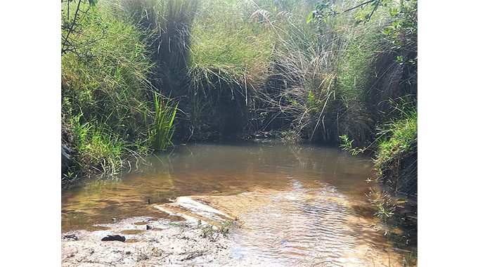 EMA steps up efforts to protect Malilangombe Wetland