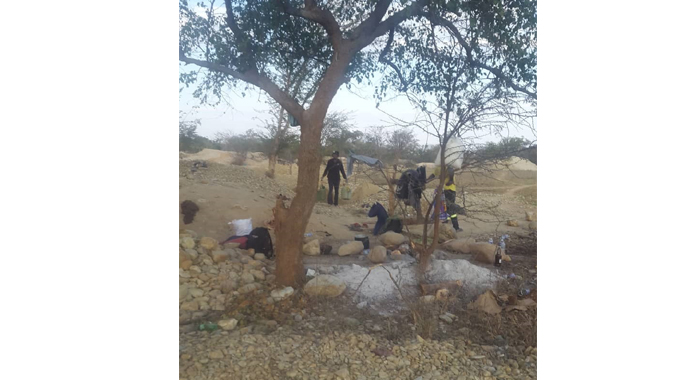 Illegal mining threatens winter crop at Portbury