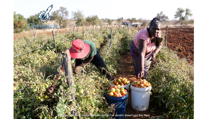 From maid to successful farmer