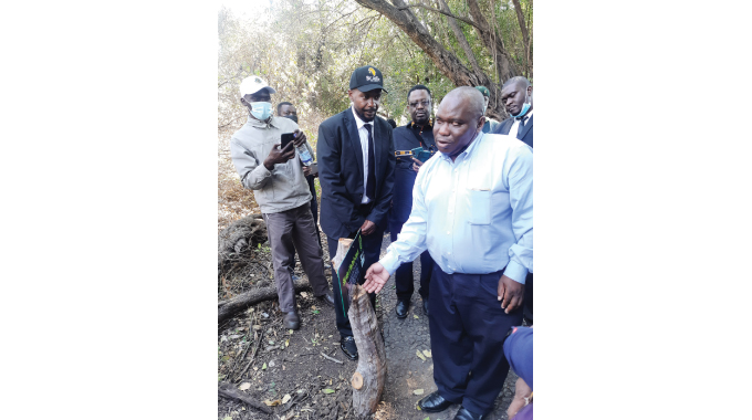 Victoria Falls sets pace in inclusive tourism modelling
