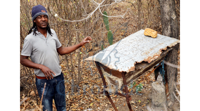 Out of work villagers strike bee keeping gold