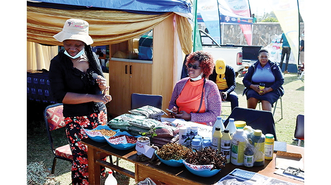 Beitbridge Expo showcases SEZ opportunities