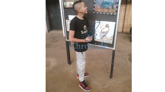 Teenage visual artist finds solace in art
