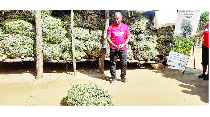 Farmers to benefit from fodder bank training