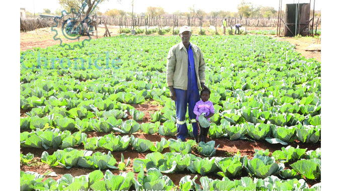 Ex-Zipra guerilla now a successful farmer