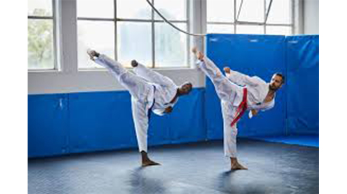 Ten countries take part in taekwondo tourney