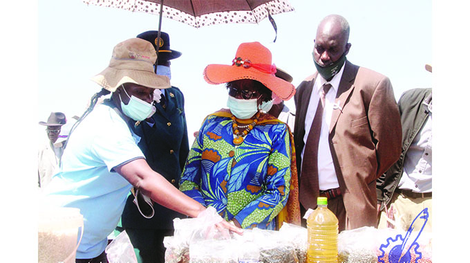 Matabeleland North beefs up food security programmes