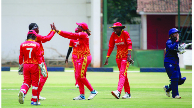 Lady Chevrons in quadrangular series