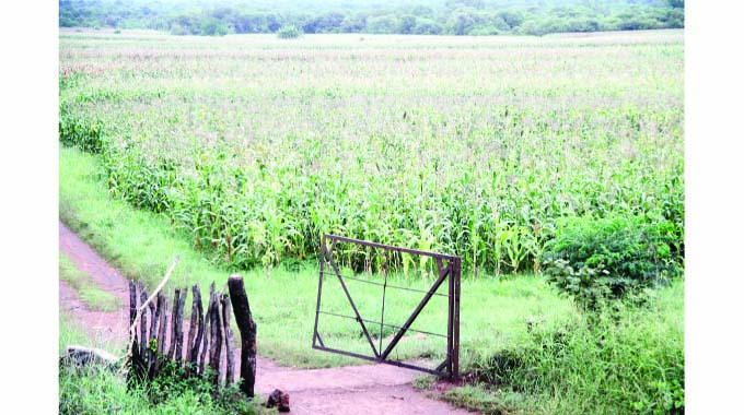 Strategic transition in agriculture