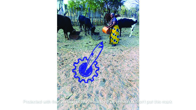 Marula tree helps Bulilima women escape poverty