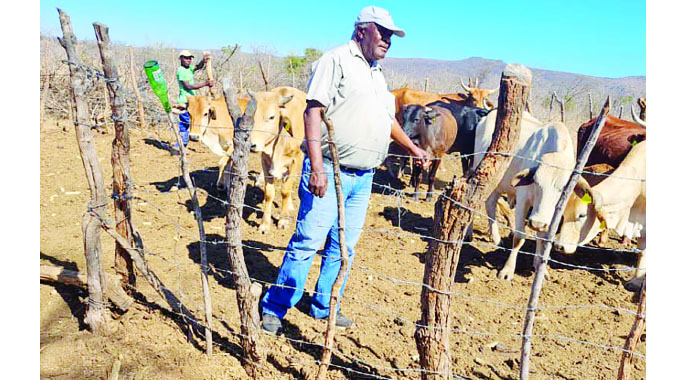 Gwanda RDC’s first CEO retires to venture into farming