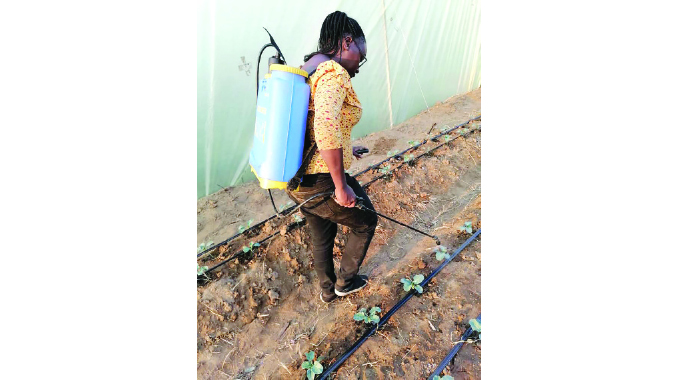Farming couple adopts modern methods