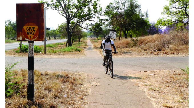 BCC seeks to revive cycling culture