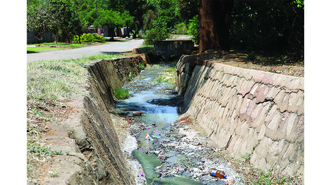 More spring cleaning campaigns can help Bulawayo regain its glory
