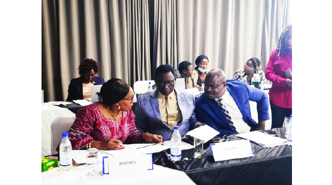 Zimbabwe continues to open the media