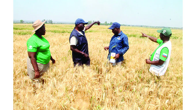 ‘Power infrastructure vandalism disrupting irrigation projects’