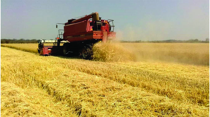 Midlands on course for bumper wheat harvest