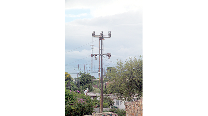 Electrocuted cable thief nabbed in hospital seeking medical attention, caged 20 years