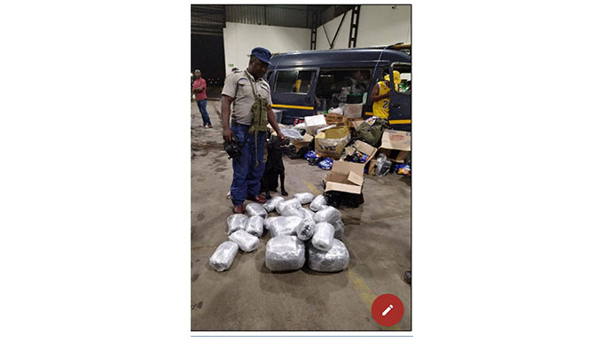 Five nabbed at border for smuggling 36kg of dagga in washing powder boxes