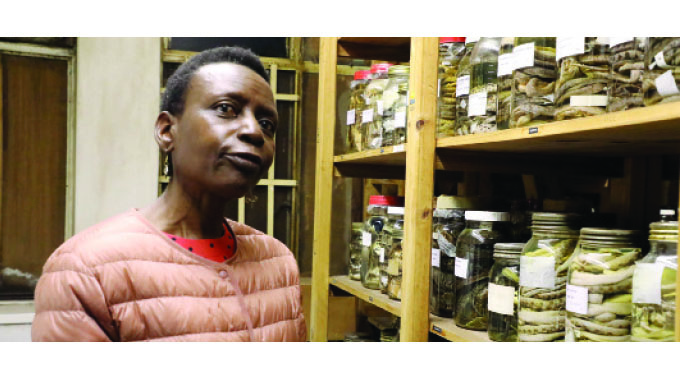 Bulawayo’s own snake park at Natural History Museum