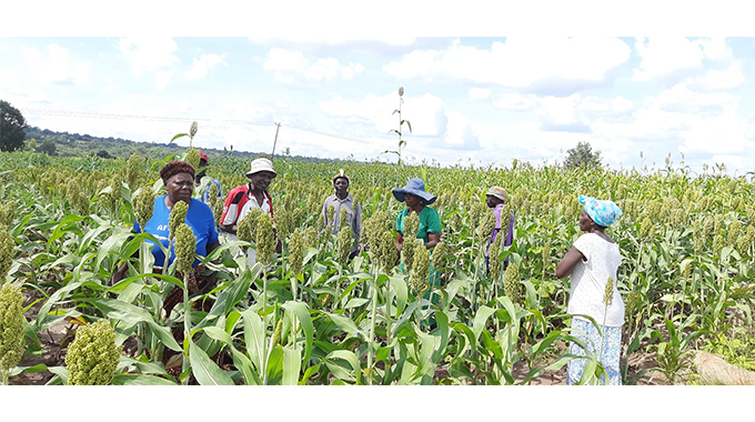 Lack of water, proper fencing threatens irrigation scheme