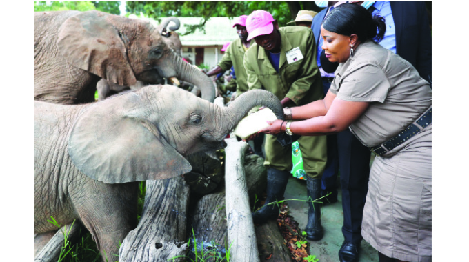 First Lady drives better human-wildlife conflict management. . . Flora, fauna key to tourism growth
