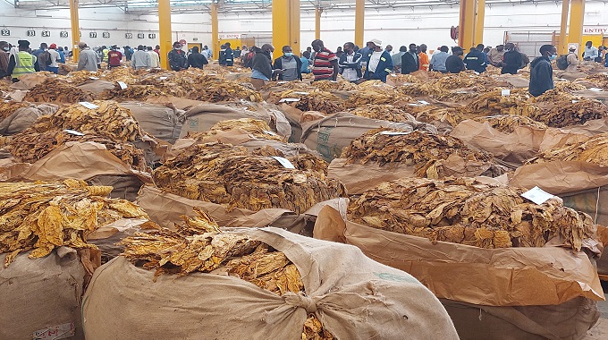 Shisha tobacco a hit on auction floors