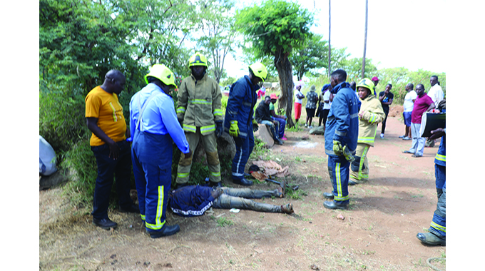 Panner dies as illegal mine shaft collapses