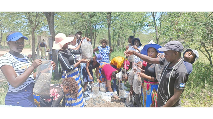 Binga youths empowered