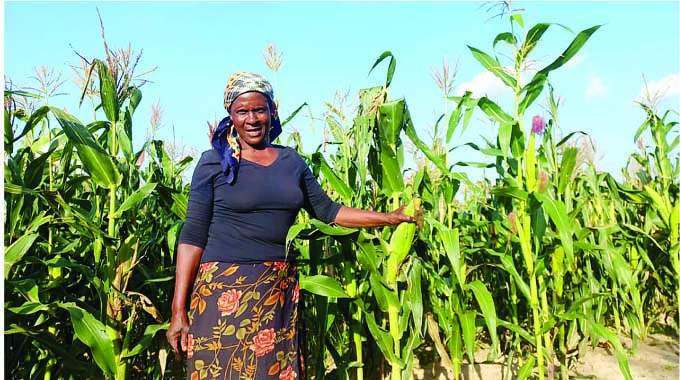 Elderly couple defies age to succeed as farmers