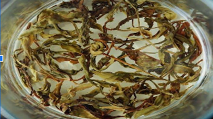 5 Factors That Determine The Safety Of Kratom Capsules