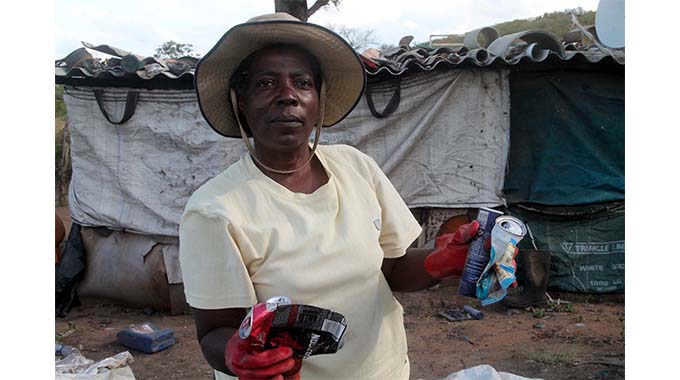 Rich pickings from waste collection