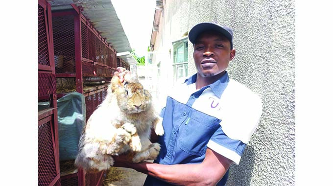 Commercial rabbit producer trains farmers