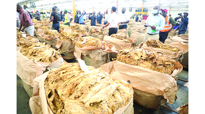 Tobacco season spurs TSL revenues
