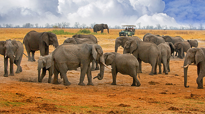 Russian wealthy elite eye Zim safari sector