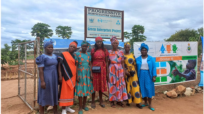 Horticulture, nursery and orchard on one hectare. . . Gwanda women make massive strides