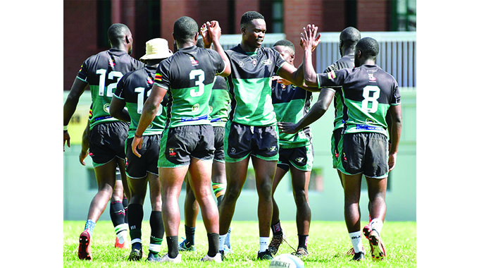 Cheetahs begin their campaign tomorrow