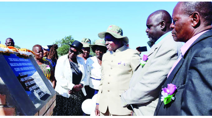 Accelerated rural electrification programme excites Beitbridge communities