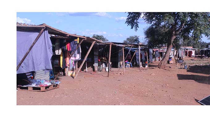 Sprouting shacks spell birth of boom town in Shangani