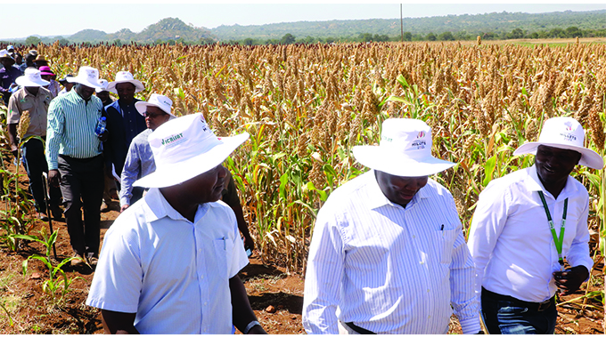 Public-private partnerships drive economic growth