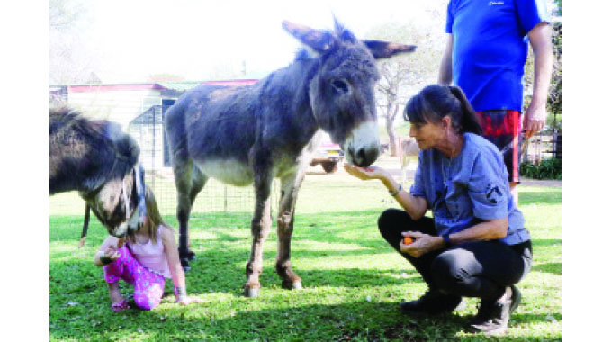 Brays that made her fall in love with donkeys