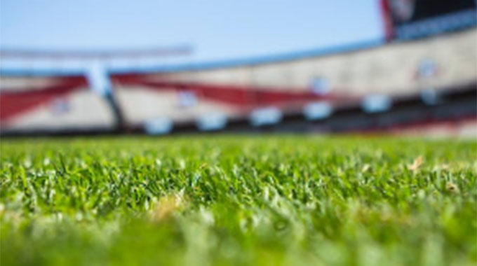 From Novice to Pro: How to Improve Your Betting Skills