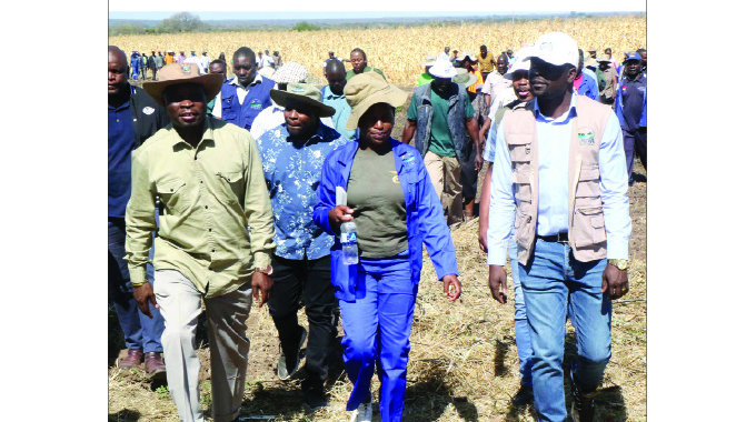 WATCH: Phaphamani Irrigation success story