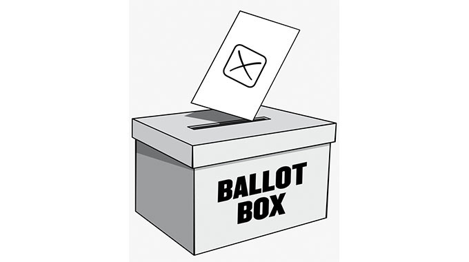 Zim elections: ten things you need to know