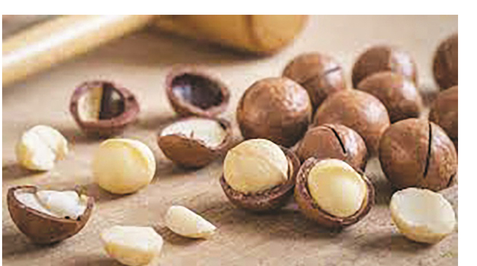 Macademia nuts production has potential to improve
