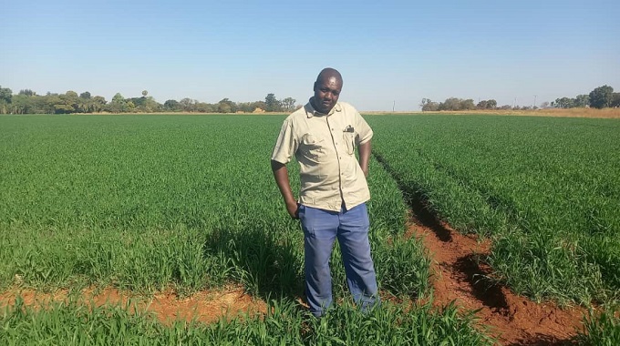 Midlands winter wheat farmers surpass target