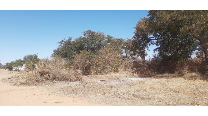 Residents converge to clear illegal dump site